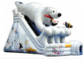 30 Foot Double Lane Polar Bear Plunge Slide
