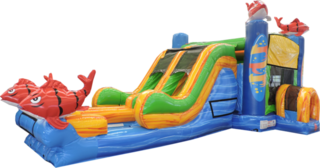 Double Lane Big Kahuna Combo Water Slide