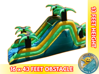 16' H Tropical Dual Slide, Back Entrance- Dry