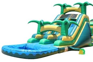 16' H  Tropical Dual Slide With Pool