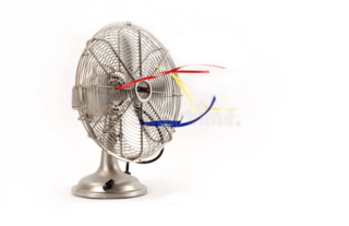 Fan
