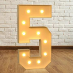 #5 Marquee Number with Lights-4FT