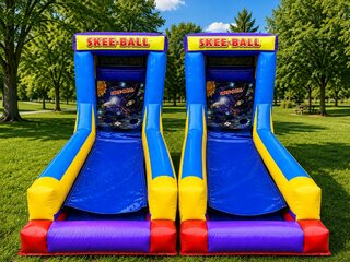 Dual Skee Ball