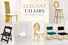 Elegant Guests Chairs