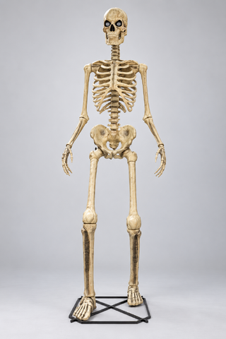 Glowing Eyes Skeleton 12FT H