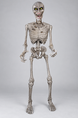 Rotting Corpse Skeleton with Light-Up Eyes 5Ft
