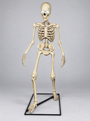 Glowing Eyes Skeleton