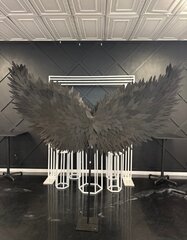 "Hot item" Black Wings