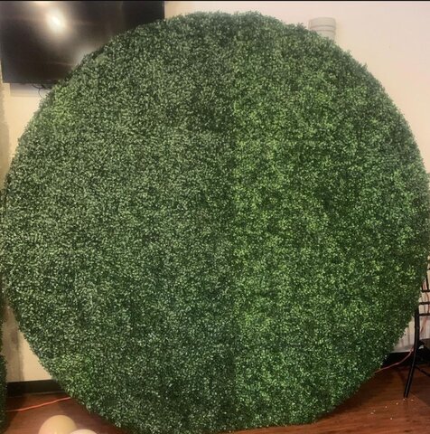 Green Round Grass Wall Special