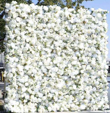 White Rose Flower Wall