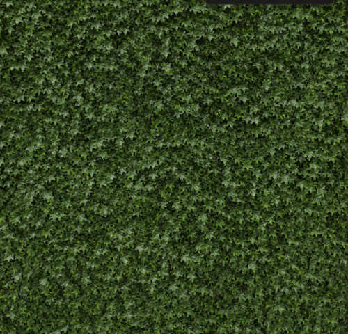 Ivy Green Flower Wall