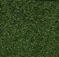 8'x8'