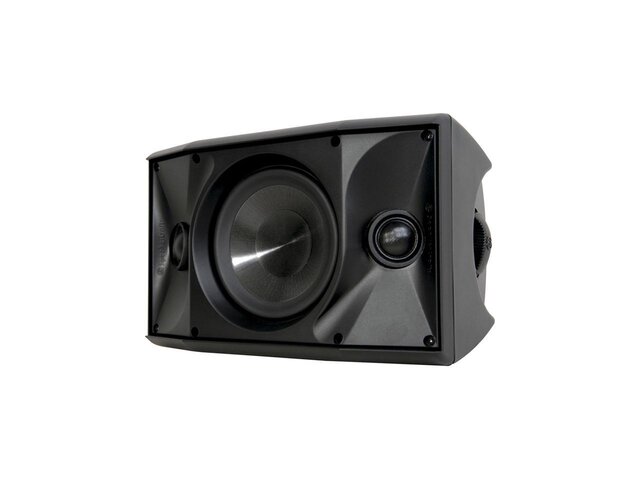Large Speaker
