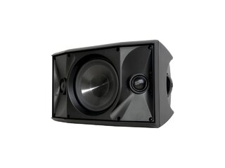 High Wattage Speaker (250+ Guests)