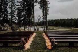 wooden Bench
