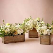 flower boxes