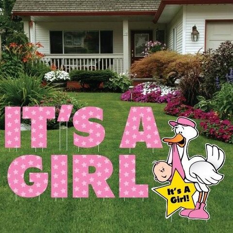 It A Girl yard greeting package