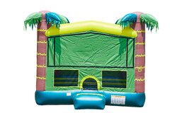 Tropical Adventure Bounce House- M with Hoop