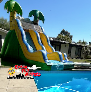 17ft Tropical Single lane Waterslide into a pool 501