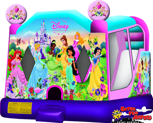 Large Disney Princess Combo 226