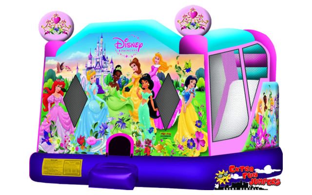 Large Disney Princess Combo 226