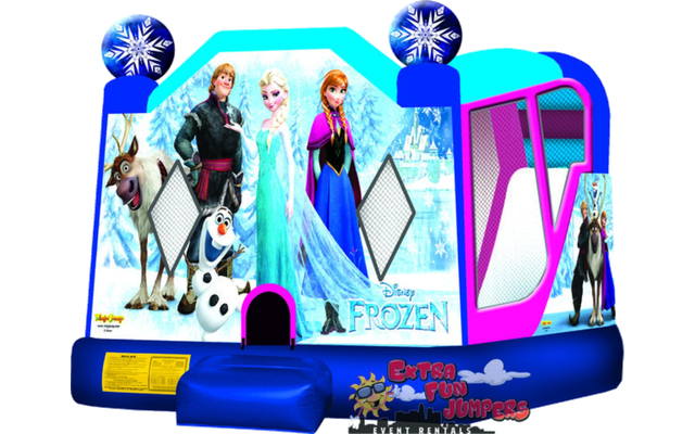 Large Frozen Combo 243