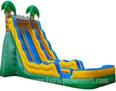 20ft Tropical Dual lane Waterslide  513