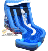 20ft Dolphin Dual Lane Waterslide 500