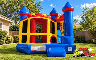 Backyard Combo Castle 293