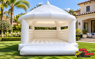 Deluxe Extra Large White Bouncer 22