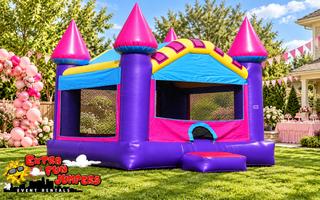 Pink Castle 133-1 or 133-2