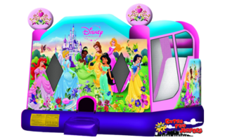 Large Disney Princess Combo 226