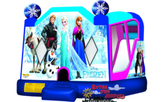 Large Frozen Combo 243