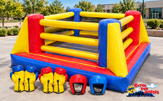 Ultimate Boxing Ring 437