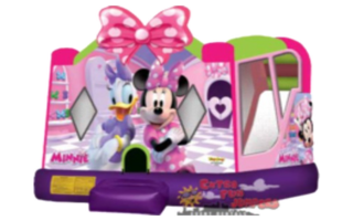Large Minnie Mouse Combo 246