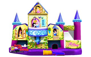 Extra Large Disney Princess 5 in 1 Combo 204 