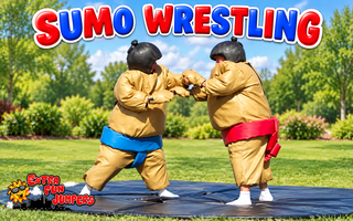 Sumo Wrestlers