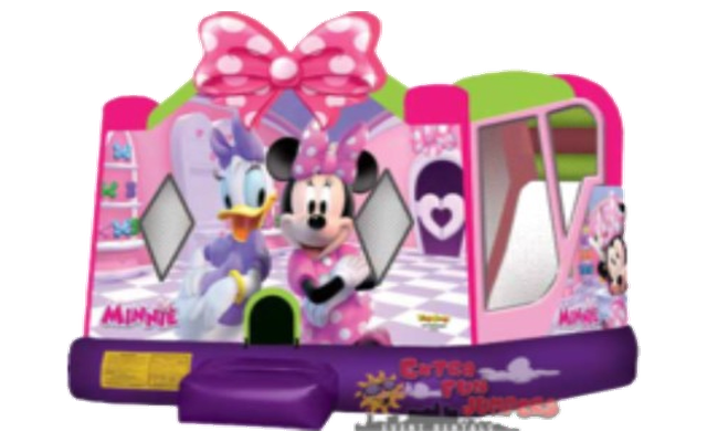 Large Minnie Mouse Combo 246