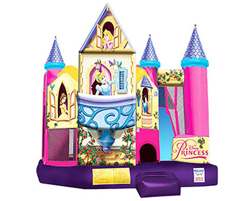 Disney Princess Combo