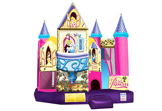 Disney Princess Dry Combo