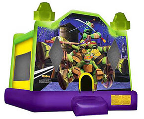 Ninja Turtles Bouncer