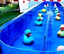 Duck Pond