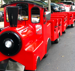 Trackless Train