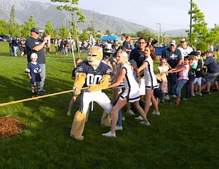 Tug-of-War