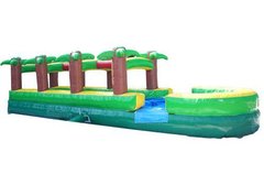 Palm Tree Slip and SlideBest for ages 2+
