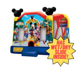 Disney Mickey Mouse Clubhouse (WET or DRY)Best for ages 2+