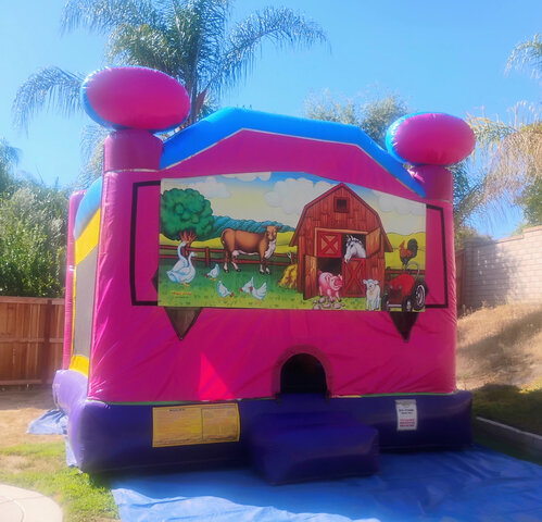 Animal Farm Pink 4in1 Combo with Slide 