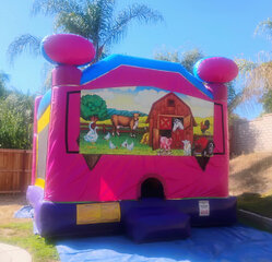 Animal Farm Pink 4in1 Combo with Slide 