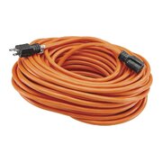 100’ Extension cord