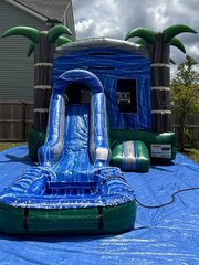 Palm Combo w/pool or slide stopper wet/dry 